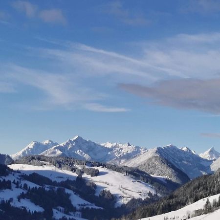 Apartmán Alpbachblick Exteriér fotografie