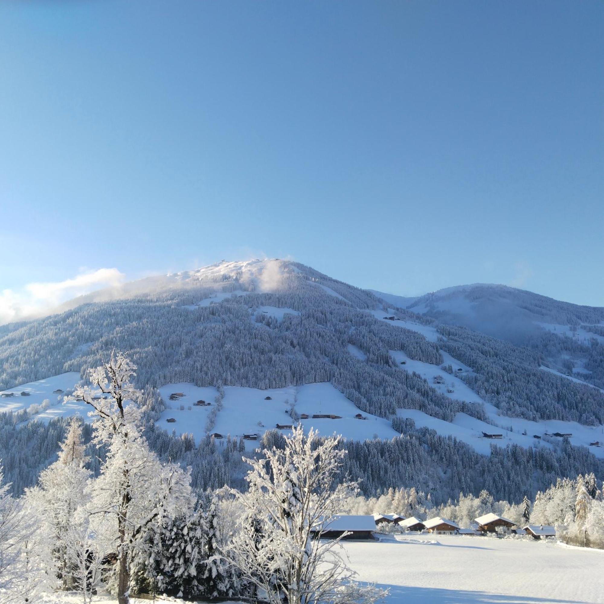 Apartmán Alpbachblick Exteriér fotografie
