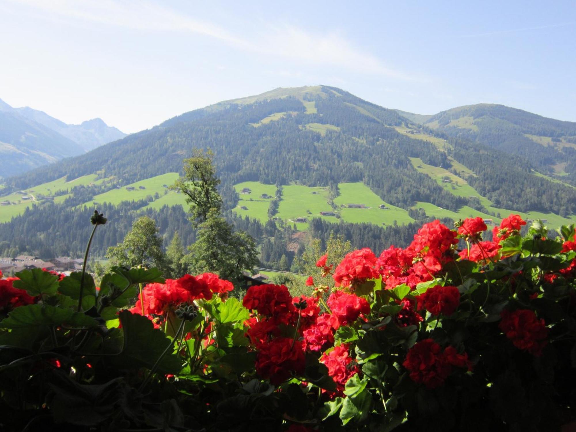 Apartmán Alpbachblick Exteriér fotografie